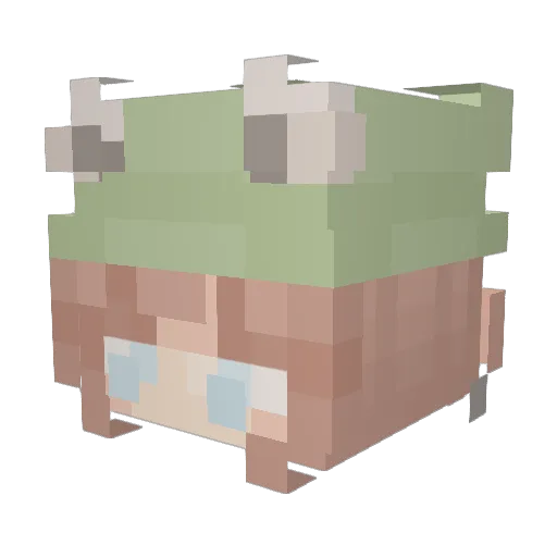 RollingThunde1 Minecraft avatar head, 3D render