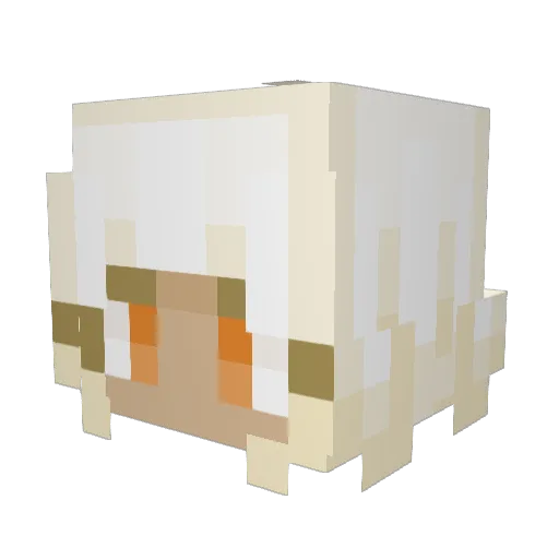 Rollinlol Minecraft avatar head, 3D render