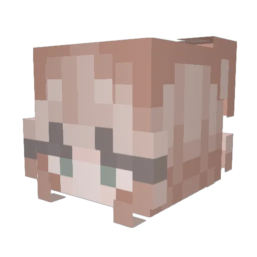 Rollixdk Minecraft avatar head, 3D render