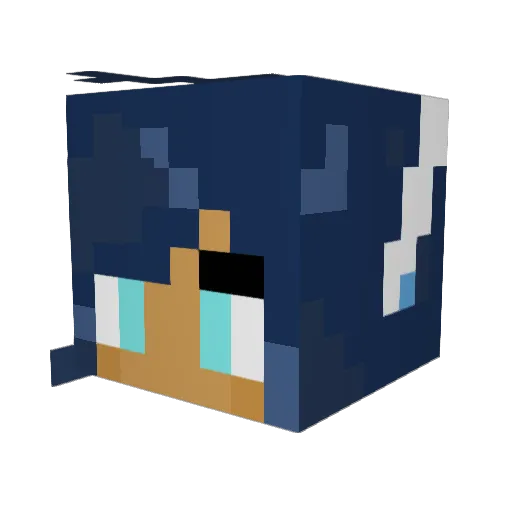 RollyPolly7533 Minecraft avatar head, 3D render
