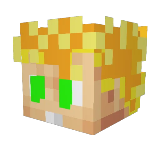 Rolnaaba Minecraft avatar head, 3D render
