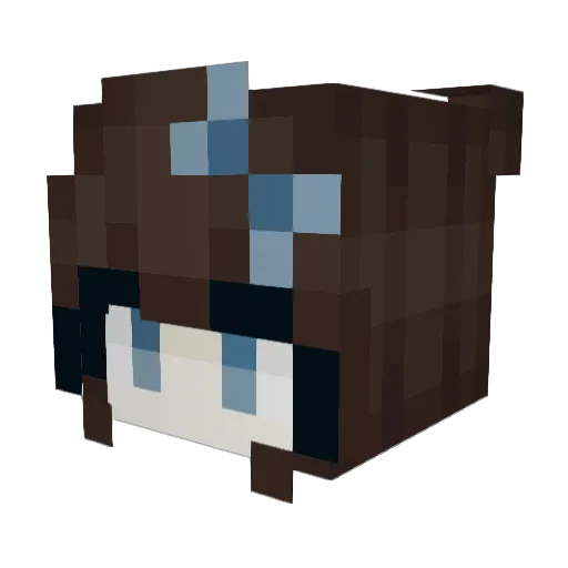 Rolofox29 Minecraft avatar head, 3D render