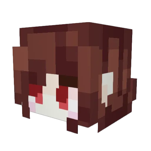 Rololol888 Minecraft avatar head, 3D render