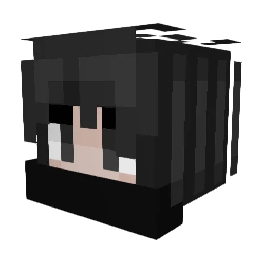 RolveGamesAreBad Minecraft avatar head, 3D render