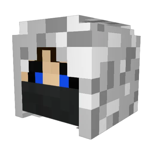 Rolvon Minecraft avatar head, 3D render