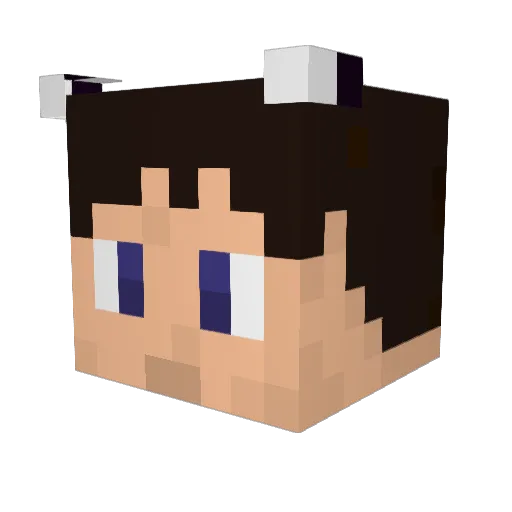 RomRot Minecraft avatar head, 3D render