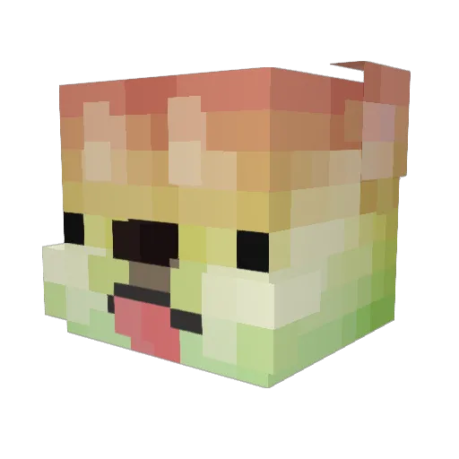 Romadog Minecraft avatar head, 3D render