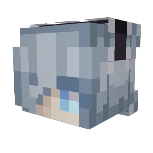Romaelo Minecraft avatar head, 3D render
