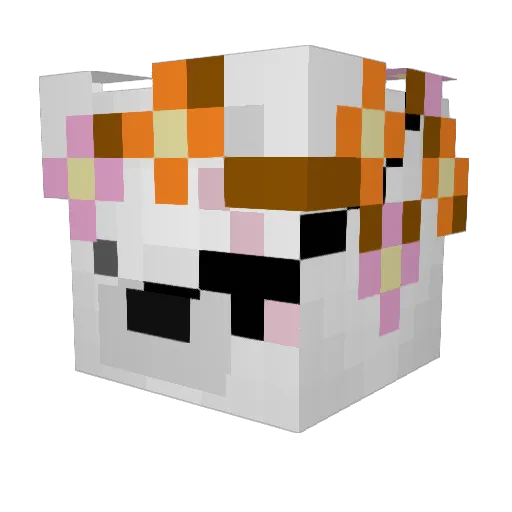 RomahTheKind Minecraft avatar head, 3D render