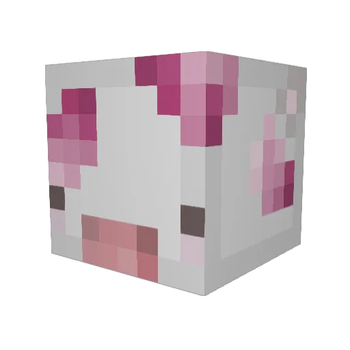 RomainBibi Minecraft avatar head, 3D render