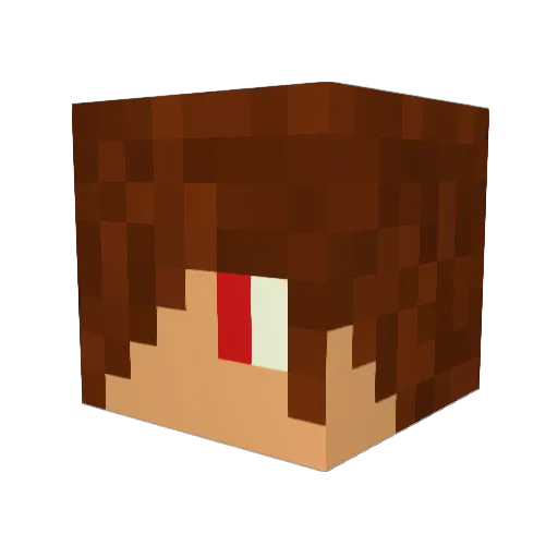 Romainboss999 Minecraft avatar head, 3D render