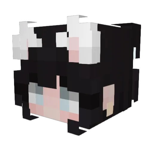 Roman11 Minecraft avatar head, 3D render