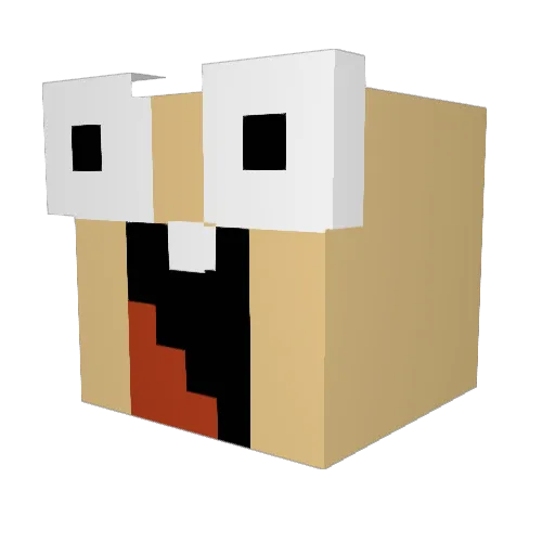 Roman460 Minecraft avatar head, 3D render