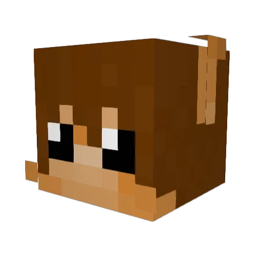 Roman8093 Minecraft avatar head, 3D render