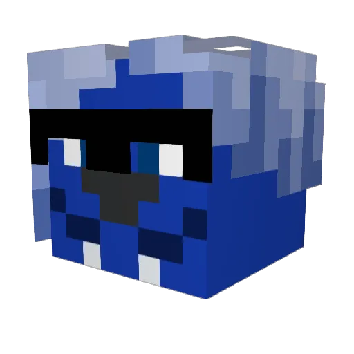 RomanPridnya Minecraft avatar head, 3D render
