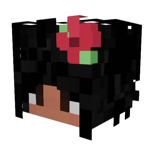 Roman_rdz Minecraft avatar head, 3D render