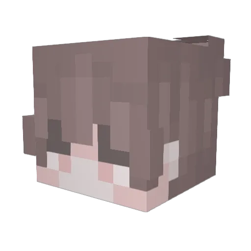Romanchik48 Minecraft avatar head, 3D render