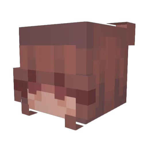 Romanish Minecraft avatar head, 3D render
