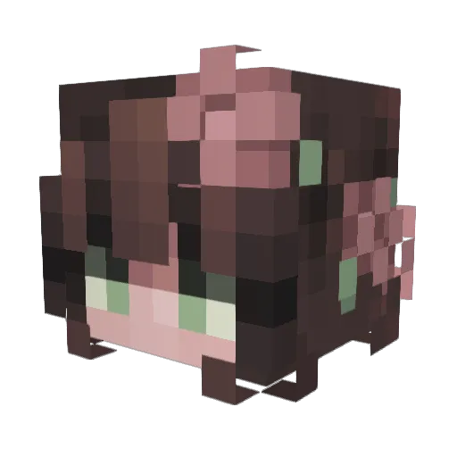 Romanoes Minecraft avatar head, 3D render