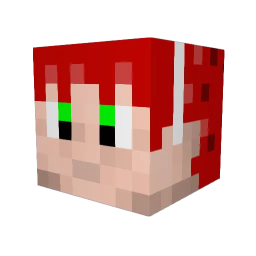 Romans10_13 Minecraft avatar head, 3D render