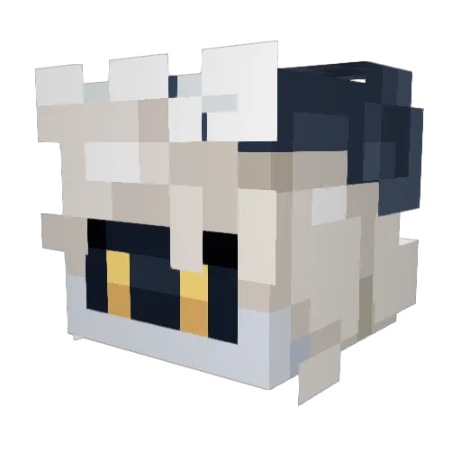 RombiWombi Minecraft avatar head, 3D render