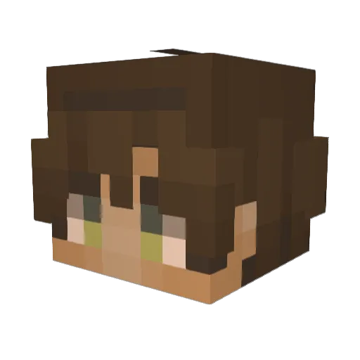 Romeo505 Minecraft avatar head, 3D render