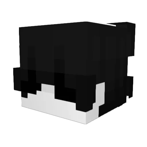 Romeoasjfkasfajs Minecraft avatar head, 3D render