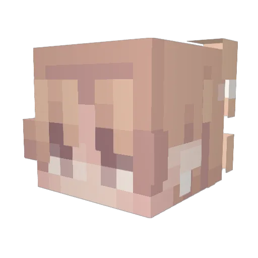 Romeoxx Minecraft avatar head, 3D render