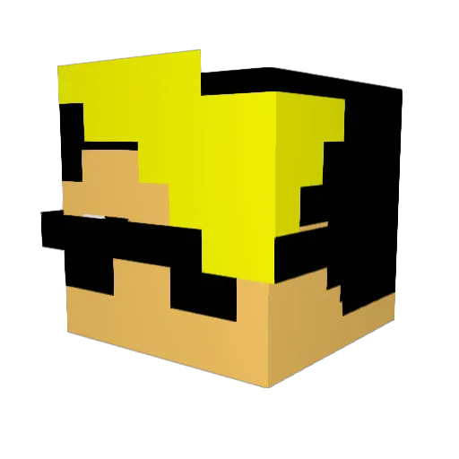 Romix2456 Minecraft avatar head, 3D render