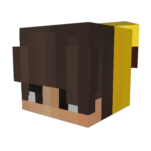 Romixx09 Minecraft avatar head, 3D render
