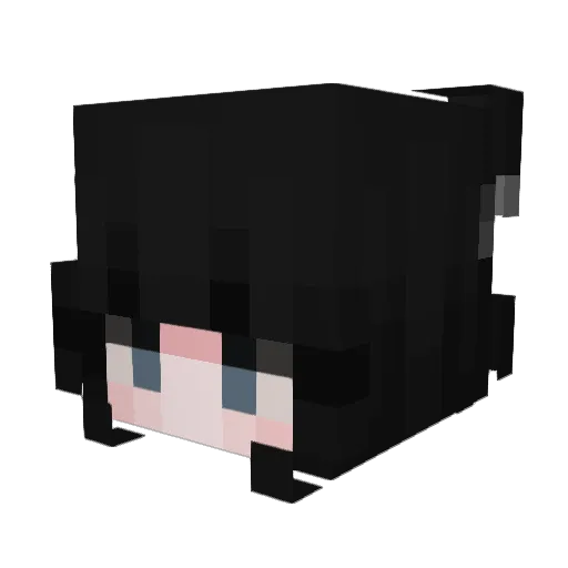 Rompott Minecraft avatar head, 3D render