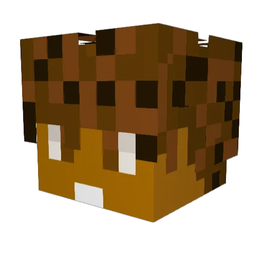 Romppers Minecraft avatar head, 3D render