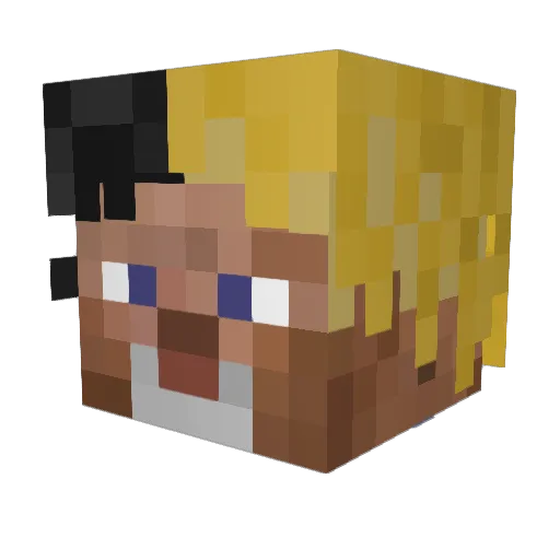Ron100c Minecraft avatar head, 3D render