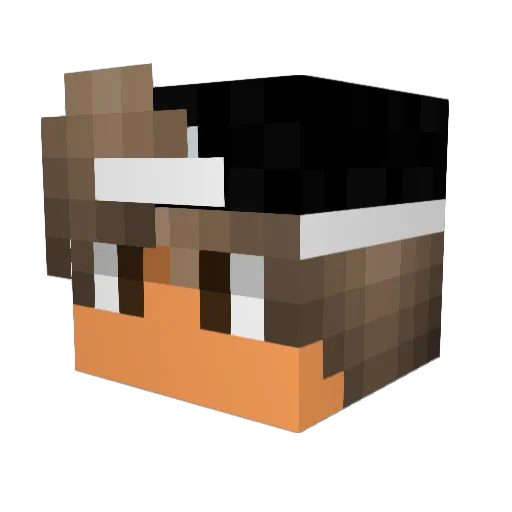 RonAce Minecraft avatar head, 3D render