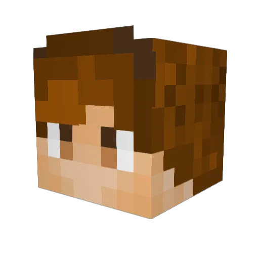 RonSolo499 Minecraft avatar head, 3D render