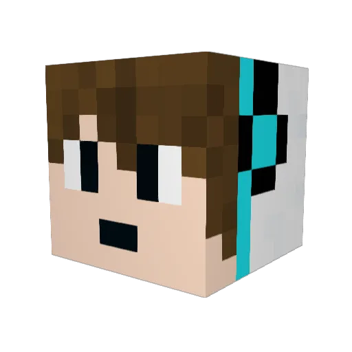 Ron_993 Minecraft avatar head, 3D render