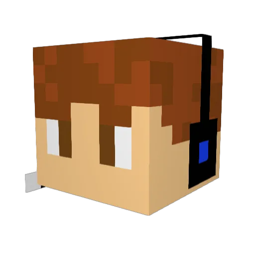 Ron_Craft Minecraft avatar head, 3D render