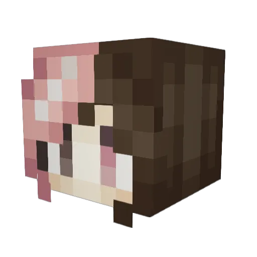 Ron_Paul_ Minecraft avatar head, 3D render