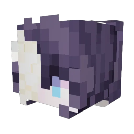 Rona_Lumiere Minecraft avatar head, 3D render