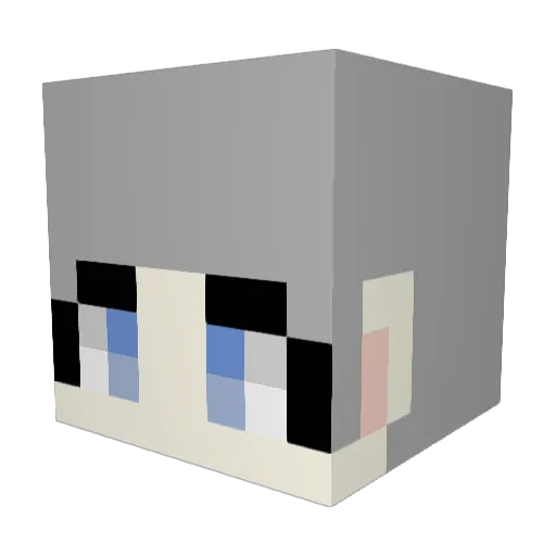 Ronah88 Minecraft avatar head, 3D render