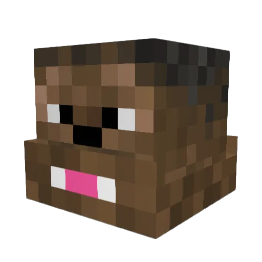 Ronald1nh0 Minecraft avatar head, 3D render