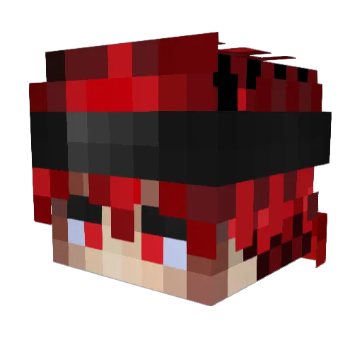 RonaldMW Minecraft avatar head, 3D render