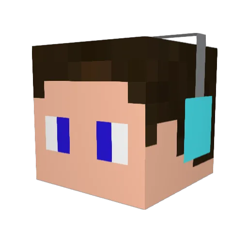Ronald_Player Minecraft avatar head, 3D render