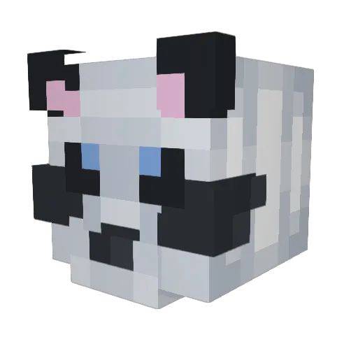 Ronamo Minecraft avatar head, 3D render
