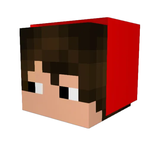 Ronanreidelas Minecraft avatar head, 3D render