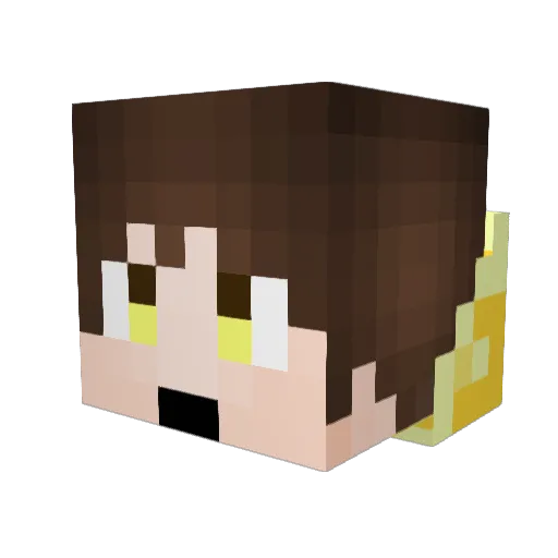 Ronaztm Minecraft avatar head, 3D render