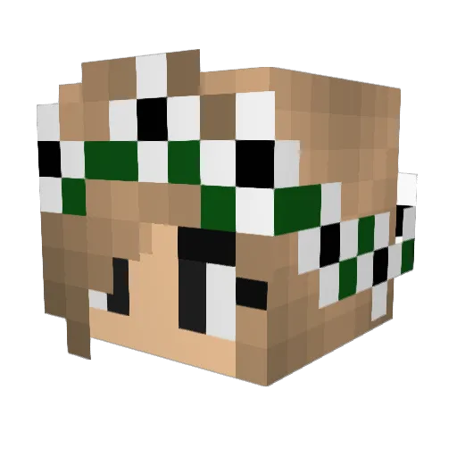 Ronchu8 Minecraft avatar head, 3D render