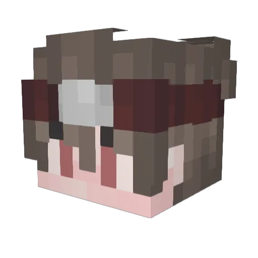 Rondag Minecraft avatar head, 3D render