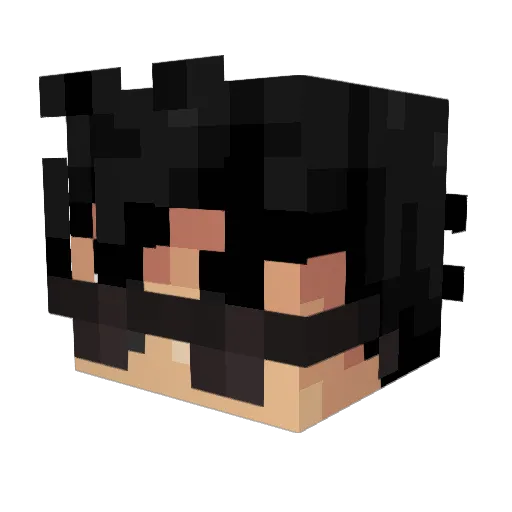 Rondrey Minecraft avatar head, 3D render