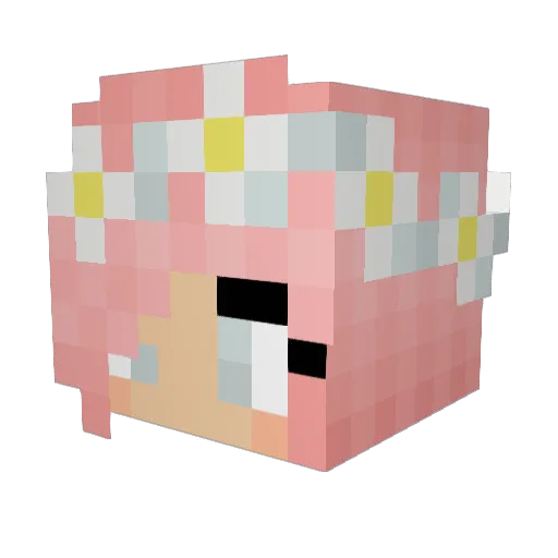 Ronec Minecraft avatar head, 3D render